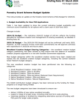 SF briefing note 47 - FGS Budget update and budget availability for new applications